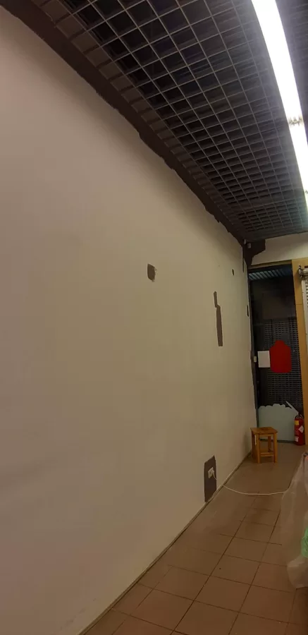 Sienu pārkrāsošana